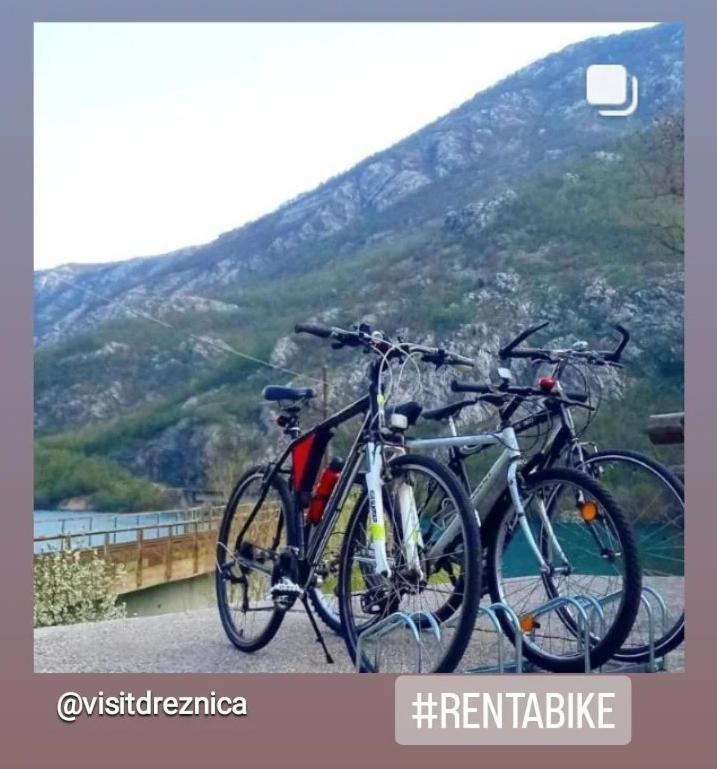 הוילה מוסטר Visit Dreznica מראה חיצוני תמונה